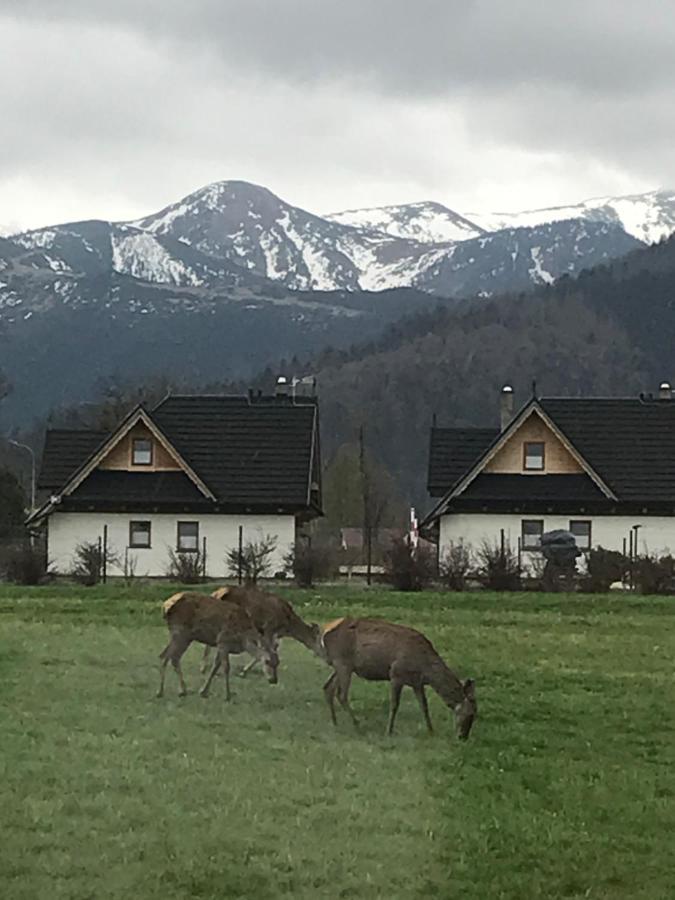 A3Apartament 2 Pokojowy Aneks Kuchenny 2 Lazienki Wlasne Na Korytarzu Villa Jumper Pobyt Na Termach Dla 2 Osob Gratis ザコパネ エクステリア 写真