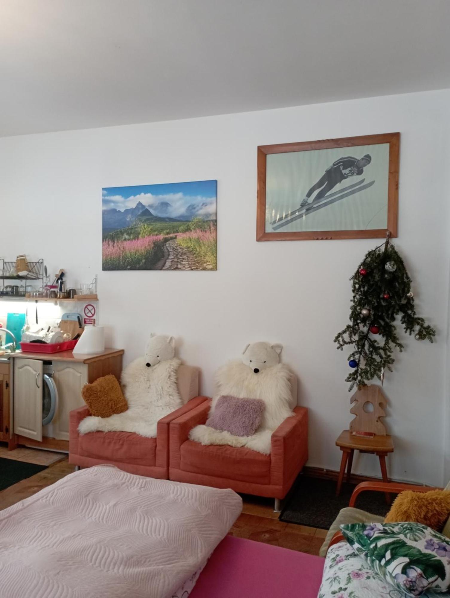 A3Apartament 2 Pokojowy Aneks Kuchenny 2 Lazienki Wlasne Na Korytarzu Villa Jumper Pobyt Na Termach Dla 2 Osob Gratis ザコパネ エクステリア 写真