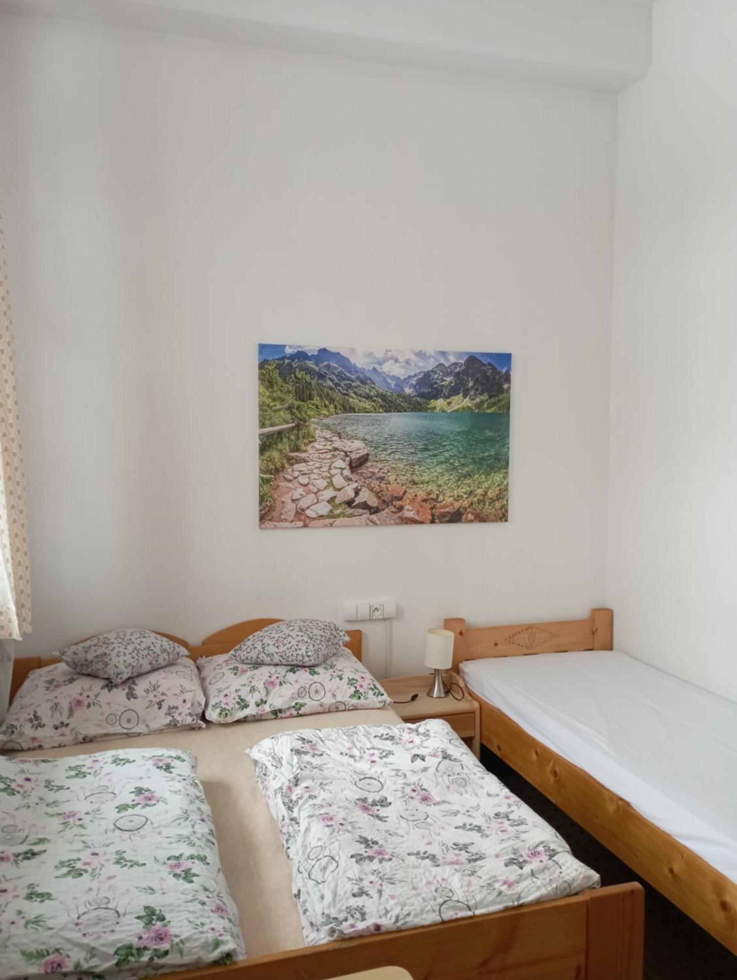 A3Apartament 2 Pokojowy Aneks Kuchenny 2 Lazienki Wlasne Na Korytarzu Villa Jumper Pobyt Na Termach Dla 2 Osob Gratis ザコパネ 部屋 写真